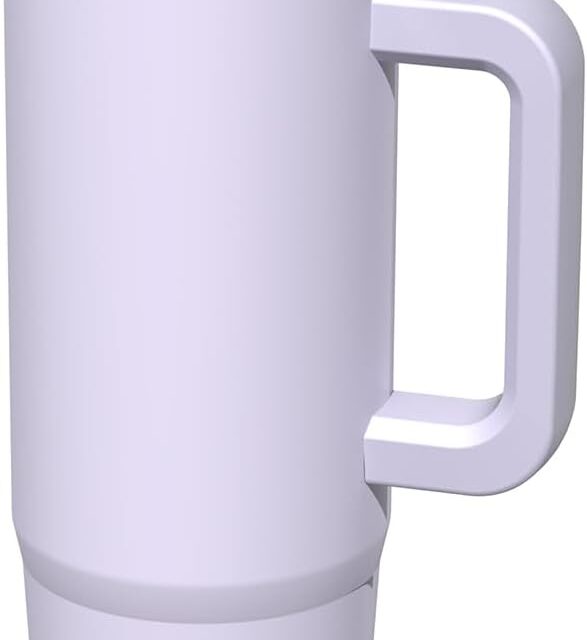 BIGRD Leak Proof Coffee Cup Travel Mug with Handle and Straw 890ml,Vacuum Insulation Stainless Steel Office Water Bottle for Hot and Cold